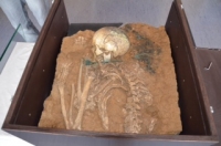 Auszug aus meinen Tätigkeiten 2016_1